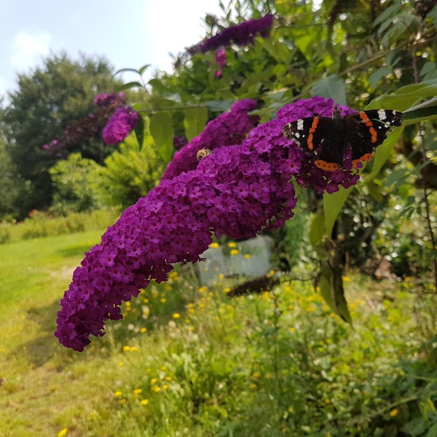 Domaine De La Chesnaie Bed & Breakfast Josselin Eksteriør bilde