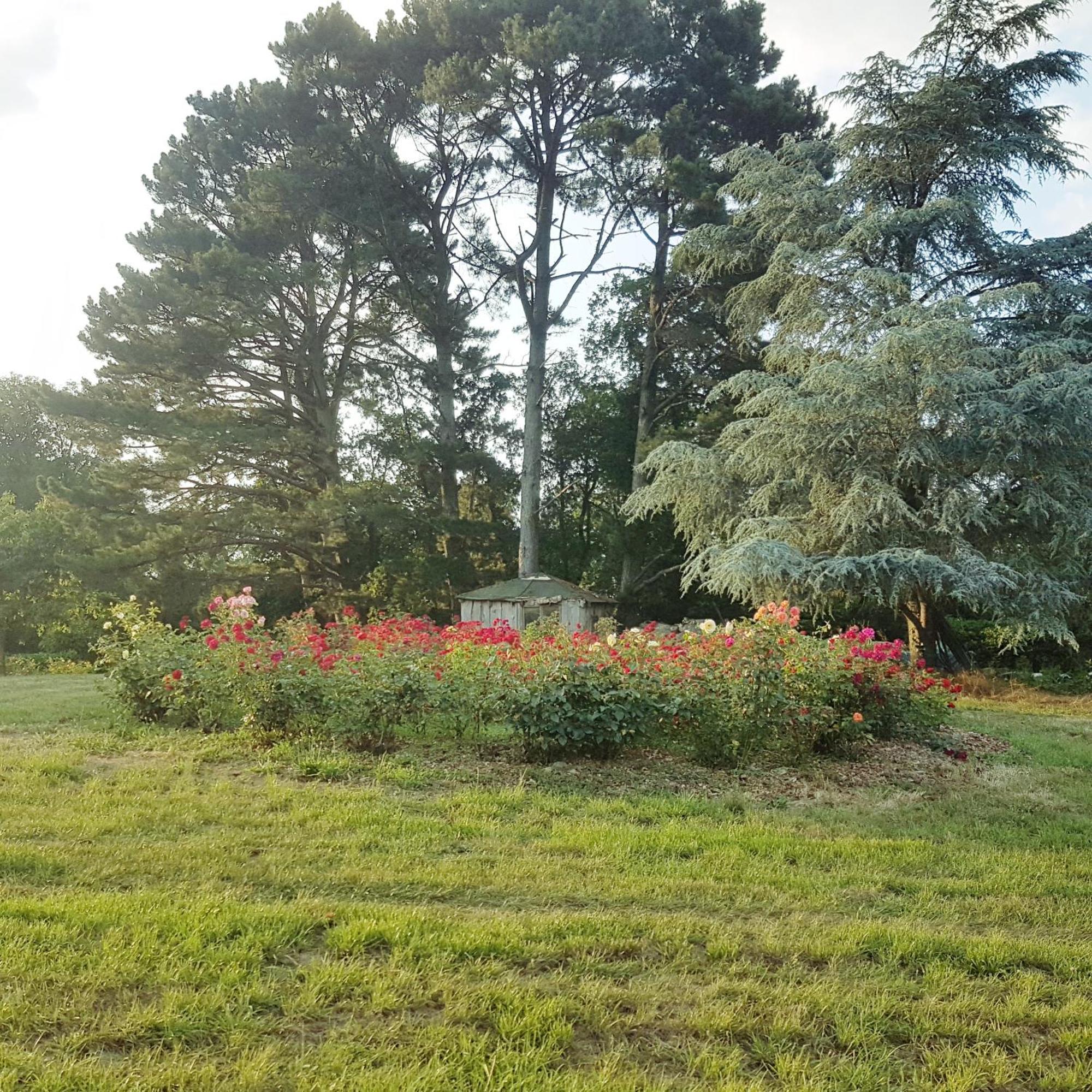 Domaine De La Chesnaie Bed & Breakfast Josselin Eksteriør bilde