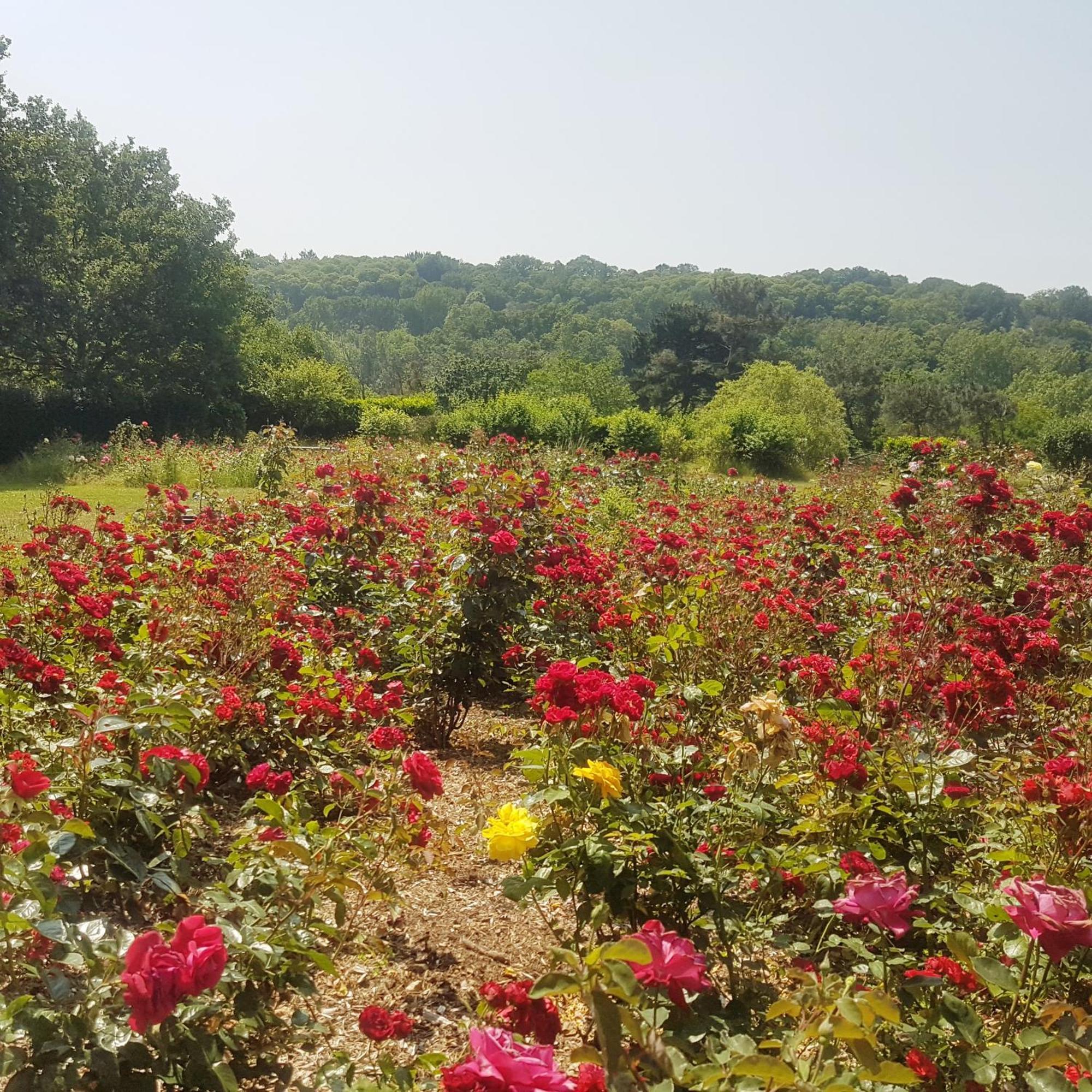 Domaine De La Chesnaie Bed & Breakfast Josselin Eksteriør bilde